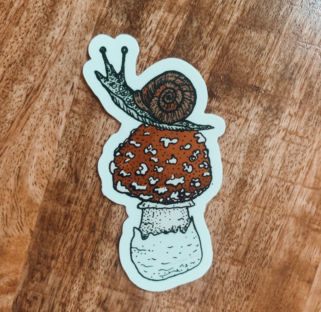 Mushroom + Snail || Sticker